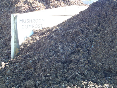 Mushroom compost