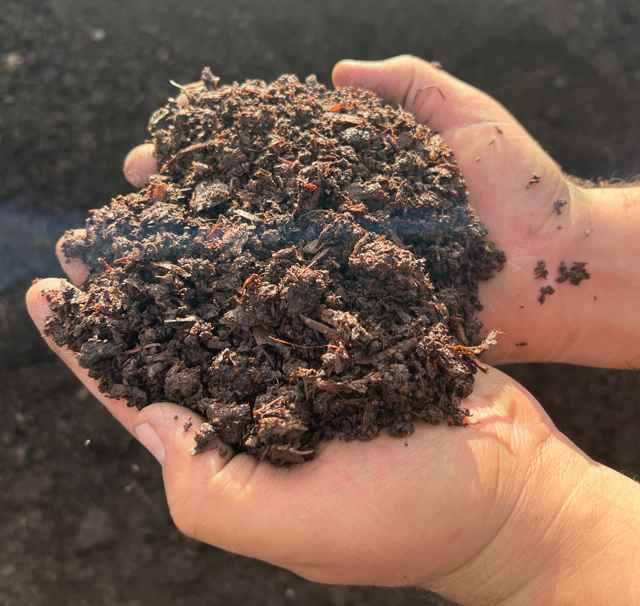 Mushroom Compost