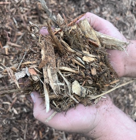 Forest Floor Mulch